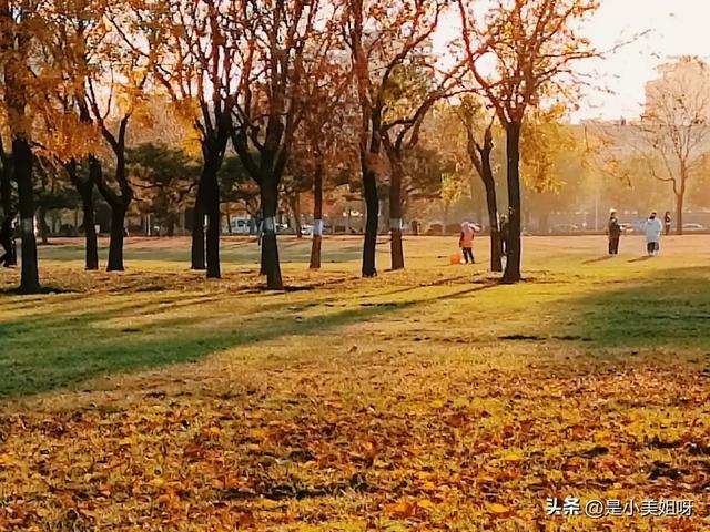 在线教学平台哪个好(在线教学平台都有哪些)